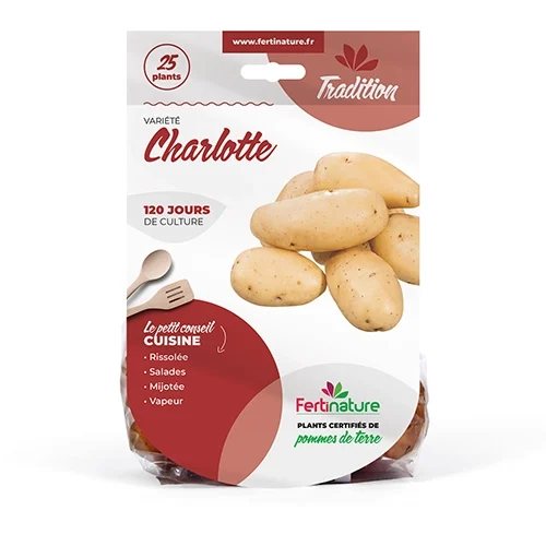 chromo pomme de terre tradition 25 plants chromo pomme de terre tradition 25 plants