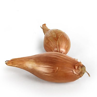 meloine echalote meloine